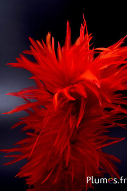 Pluim haan met ring - hoogte 40 cm - bloedoranje